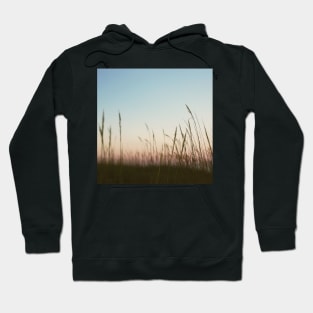 Sea Grass Hoodie